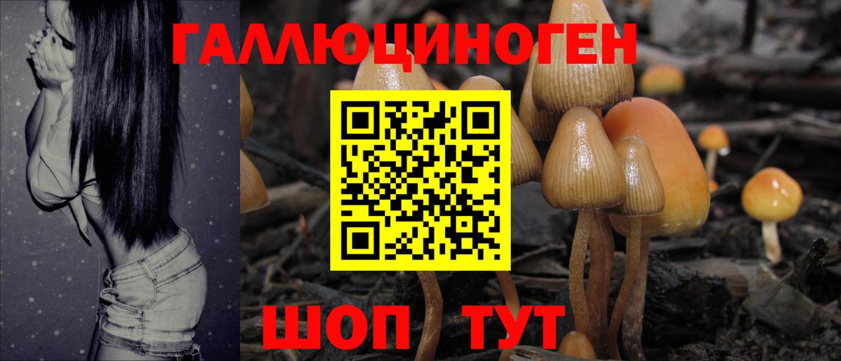 Псилоцибиновые грибы мухоморы  Вход с VPN  что такое   Строитель 